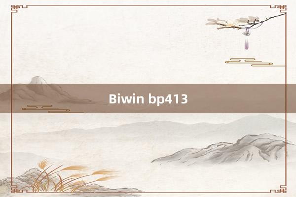 Biwin bp413