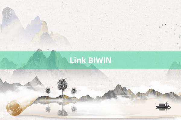 Link BIWIN