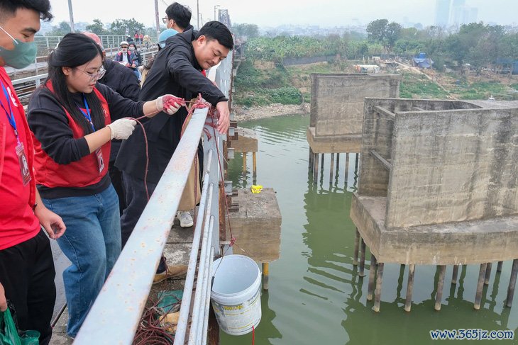 Thả cá koi tiễn Táo quân， không thả bao ni lông - Ảnh 4.