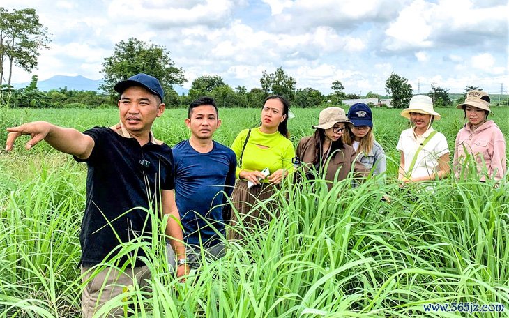 Ngành nào， công việc gì sẽ 'hot trend' trong năm 2025? - Ảnh 2.