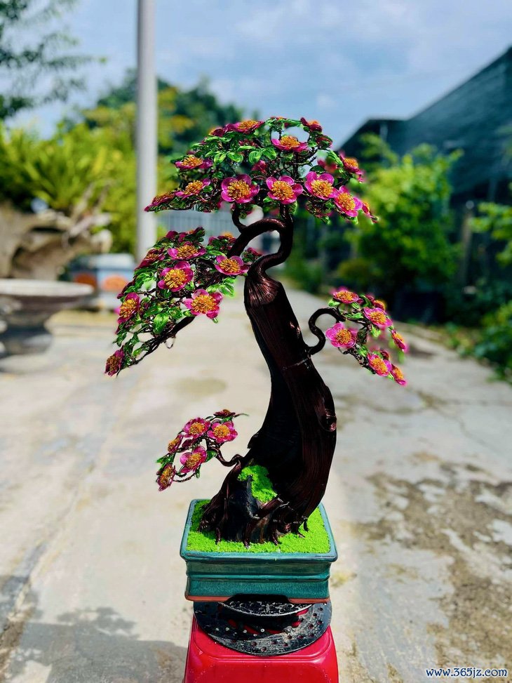 Bonsai dây nhôm xuống chợ Tết， đẹp hút hồn khách mua - Ảnh 7.