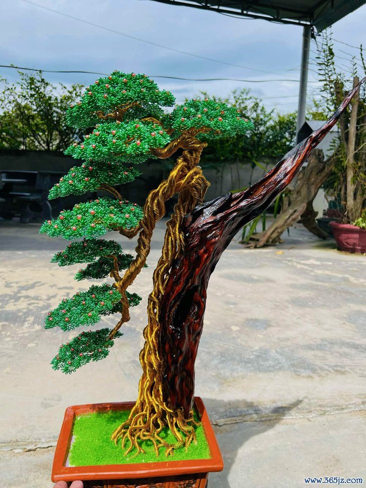 Bonsai dây nhôm xuống chợ Tết， đẹp hút hồn khách mua - Ảnh 8.