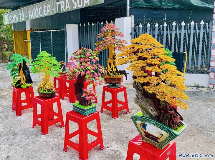 Bonsai dây nhôm xuống chợ Tết， đẹp hút hồn khách mua - Ảnh 5.