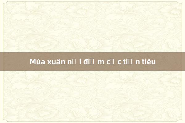 Mùa xuân nơi điểm cực tiền tiêu